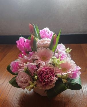 春が来ました。｜「岩井生花店」　（京都府京都市中京区の花キューピット加盟店 花屋）のブログ